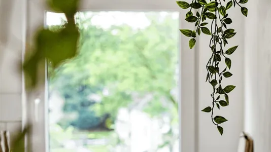 Apartments in Essen - photo 9