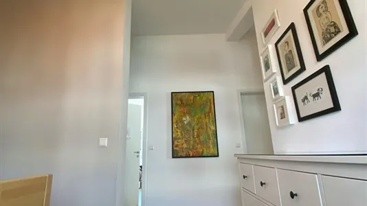 Houses in Biberach - photo 10