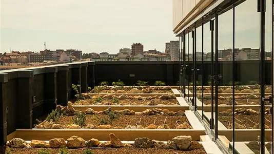 Apartments in Madrid Tetuán - photo 9