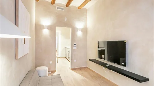 Apartments in Barcelona Ciutat Vella - photo 8