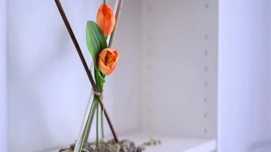 Rooms in Milano Zona 3 - Porta Venezia, Città Studi, Lambrate - photo 4