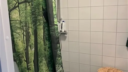 Apartments in Sigtuna - photo 10