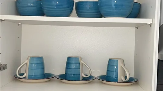 Apartments in Lippe - photo 8