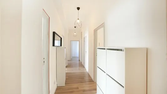 Rooms in Modena - photo 10