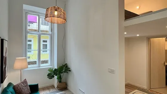 Apartments in Budapest Józsefváros - photo 8