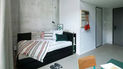 Apartment for rent in Frankfurt (region)