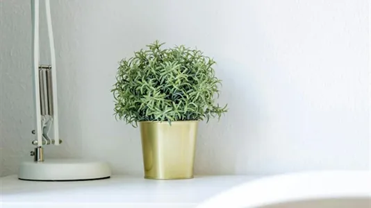 Rooms in Budapest Újpest - photo 10