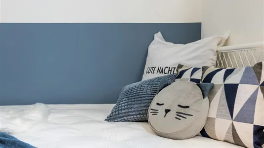 Rooms in Padua - photo 5