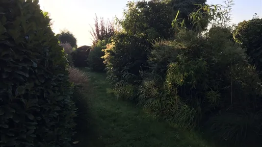 Rooms in Cologne Rodenkirchen - photo 8