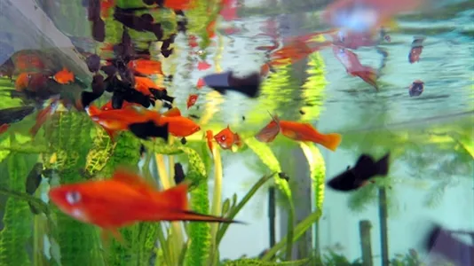 Rooms in Reykjavík Miðborg - photo 5