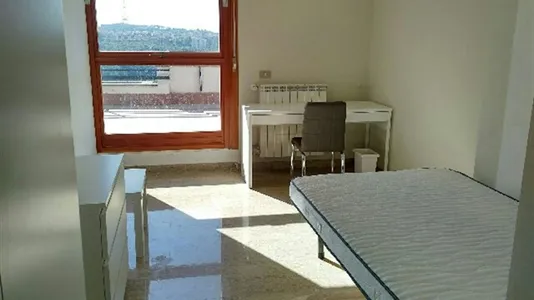 Rooms in Roma Municipio XIV – Monte Mario - photo 3