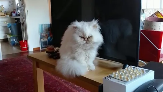 Rooms in Roma Municipio XV – Cassia/Flaminia - photo 6