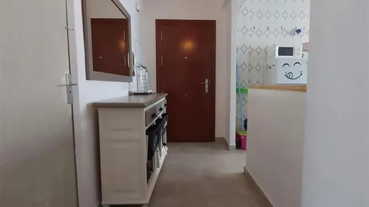 Rooms in Málaga - photo 7