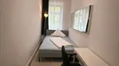 Room for rent, Munich, Fraunhoferstraße