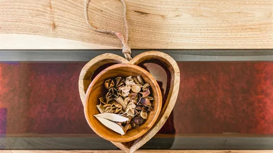 Apartments in Vienna Hernals - photo 10