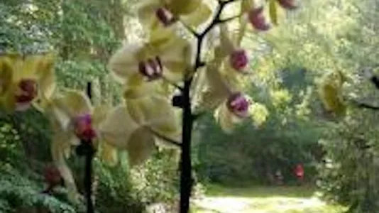 Apartments in Berlin Mitte - photo 4