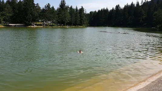 Houses in Brezovica - photo 4