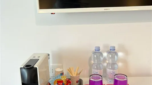 Rooms in Padua - photo 5