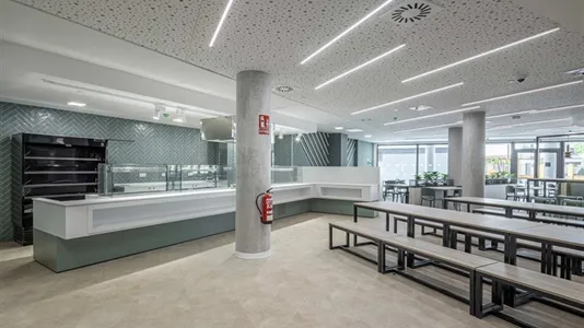 Apartments in Bami - photo 8