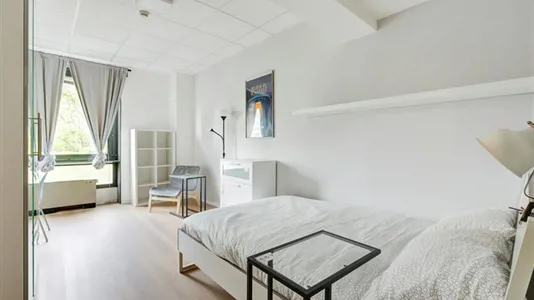Rooms in Milano Zona 3 - Porta Venezia, Città Studi, Lambrate - photo 2