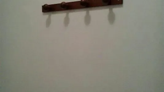 Rooms in Trento - photo 8