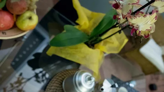 Apartments in Florence - photo 9