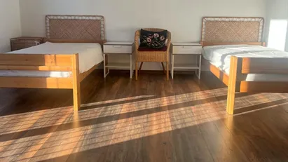 Room for rent in Potsdam, Brandenburg