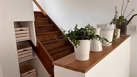 Houses in Mainz - photo 8