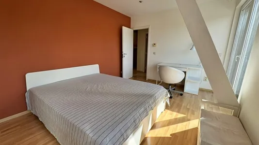 Apartments in Brussels Evere - photo 8