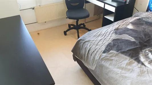 Rooms in Location is not specified - photo 4