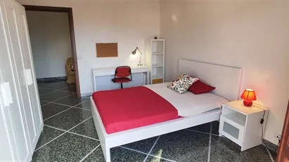Room for rent in Florence, Toscana