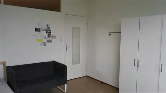 Rooms in Delft - photo 7