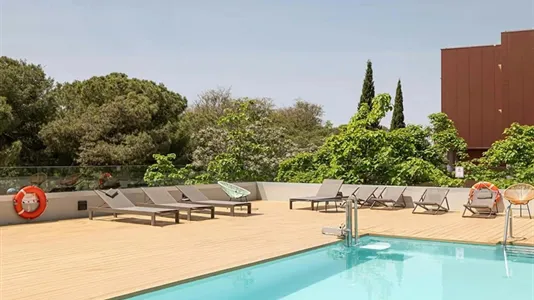 Apartments in Sevilla Triana - photo 2