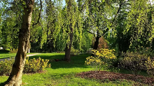 Apartments in Besnica - photo 10