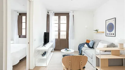 Apartment for rent in Barcelona Ciutat Vella, Barcelona