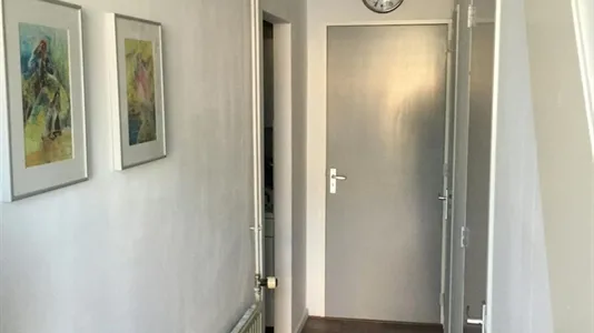 Rooms in Utrechtse Heuvelrug - photo 6