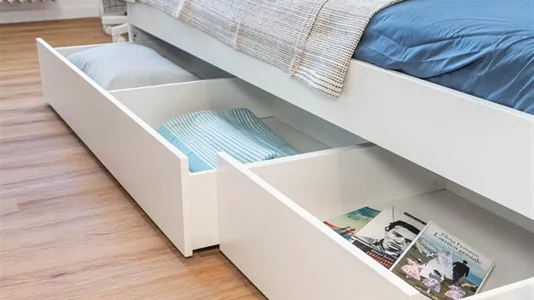 Rooms in Padua - photo 4