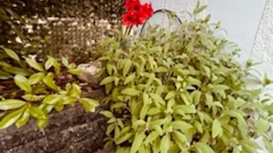 Apartments in Milano Zona 1 - Centro storico - photo 5