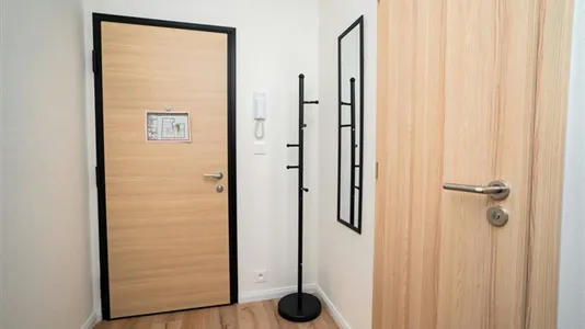 Apartments in Plzeň-město - photo 7
