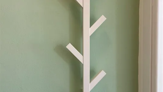 Apartments in Pisa - photo 8