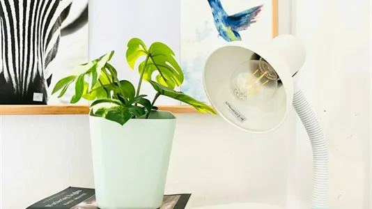 Rooms in Padua - photo 10