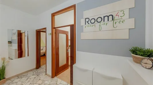 Rooms in Padua - photo 7