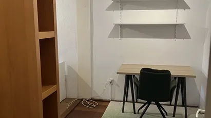 Nice and spacious room close to city center for international student