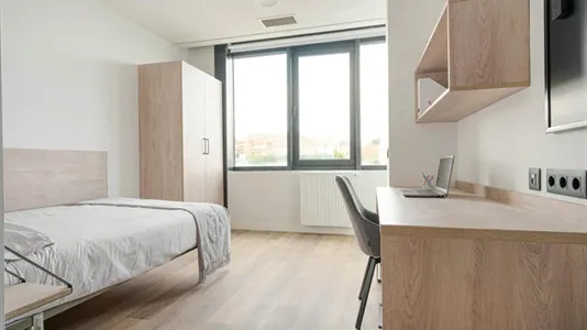 Rooms in Oviedo - photo 2