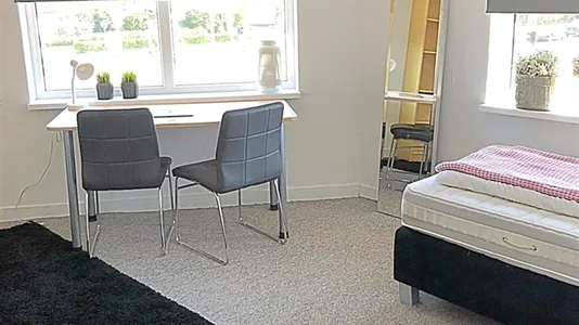 Rooms in Hengelo - photo 4