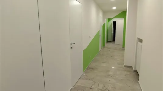 Rooms in Bologna - photo 2