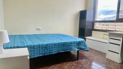 Room for rent in Valencia Ciutat Vella, Valencia (region)