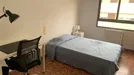 Room for rent, Castellón de la Plana/Castelló de la Plana, Comunidad Valenciana, &lt;span class=&quot;blurred street&quot; onclick=&quot;ProcessAdRequest(7970092)&quot;&gt;&lt;span class=&quot;hint&quot;&gt;See streetname&lt;/span&gt;[xxxxxxxxxxxxx]&lt;/span&gt;