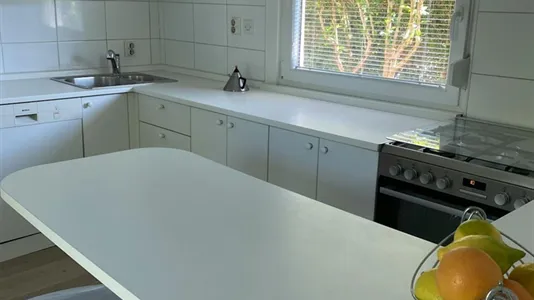 Houses in Besnica - photo 4