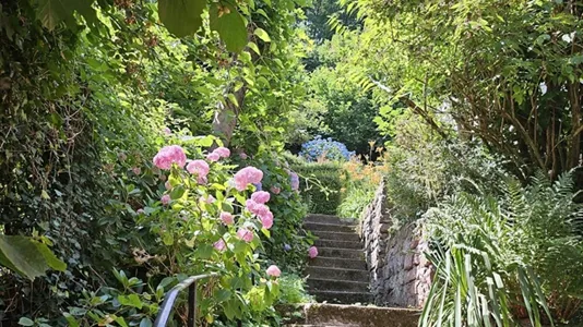 Apartments in Heidelberg - photo 1